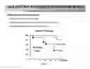 Fig. 58 - Streptococcal GlcNac-lacking gylcopolypeptides, cell wall carbohydrates, vaccines, and methods for making and using them