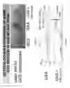 Fig. 65 - Streptococcal GlcNac-lacking gylcopolypeptides, cell wall carbohydrates, vaccines, and methods for making and using them