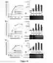 Fig. 16 - Arenavirus vaccine
