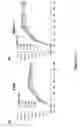 Fig. 24 - Arenavirus vaccine