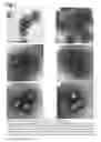 Fig. 02 - Vaccine containing virus-like particles