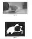 Fig. 19 - Microneedle compositions and methods of using same