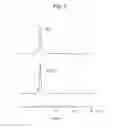 Fig. 06 - Adjuvant for mucosal vaccine