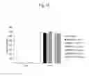 Fig. 15 - Adjuvant for mucosal vaccine
