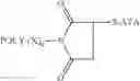 Fig. 07 - Conjugates of an anti-TNF-alpha antibody