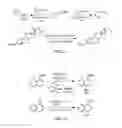 Fig. 11 - Sulfur(VI) fluoride compounds and methods for the preparation thereof
