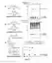Fig. 21 - Sulfur(VI) fluoride compounds and methods for the preparation thereof