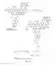 Fig. 27 - Sulfur(VI) fluoride compounds and methods for the preparation thereof