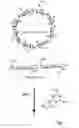 Fig. 02 - CYCLODEXTRIN-GRAFTED HYALURONIC ACID CROSSLINKED WITH DEXTRAN AND USES THEREOF