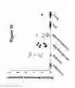 Fig. 11 - Methods and compositions for engineering immunity