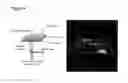 Fig. 05 - Ultrashort peptides as exogenous second harmonic probes for bioimaging applications