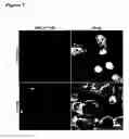 Fig. 07 - Optical imaging probes