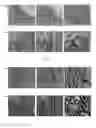 Fig. 08 - Thermosensitive biodegradable hydrogel