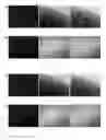 Fig. 09 - Thermosensitive biodegradable hydrogel