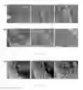 Fig. 11 - Thermosensitive biodegradable hydrogel
