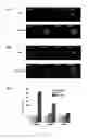 Fig. 15 - Thermosensitive biodegradable hydrogel