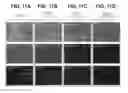 Fig. 12 - Antibacterial biomedical implants and associated materials, apparatus, and methods