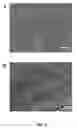 Fig. 04 - Nickel Titanium Oxide Coated Articles