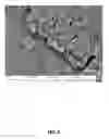 Fig. 06 - Nickel Titanium Oxide Coated Articles
