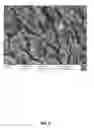 Fig. 09 - Nickel Titanium Oxide Coated Articles