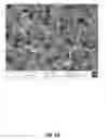 Fig. 11 - Nickel Titanium Oxide Coated Articles