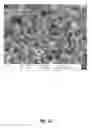 Fig. 12 - Nickel Titanium Oxide Coated Articles