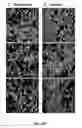 Fig. 20 - Nickel Titanium Oxide Coated Articles