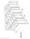 Fig. 147 - Patch-like infusion device