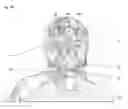 Fig. 02 - FIXING TOOL FOR ATTACHING ARTIFICIAL VENTILATOR