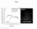 Fig. 04 - Compositions and delivery methods for treating dental infections, inflammation, sensitivity, and for use in dental restorations