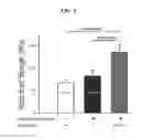 Fig. 06 - Compositions and delivery methods for treating dental infections, inflammation, sensitivity, and for use in dental restorations