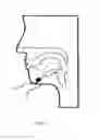 Fig. 05 - A TONGUE TREATMENT ELECTRODE AND A DEVICE USING THE SAME