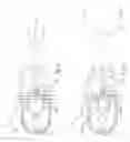 Fig. 06 - Tooth-whitening device