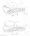 Fig. 08 - Tooth-whitening device