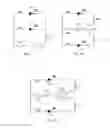 Fig. 09 - Tooth-whitening process