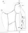 Fig. 01 - Apparel item with integrated parachute structure