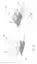 Fig. 08 - FILTER ELEMENT WITH VARIED FILTER MEDIA PACK CHARACTERISTICS