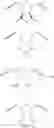 Fig. 06 - Hydrophilically modified fluorinated membrane (I)