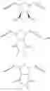 Fig. 21 - Hydrophilically modified fluorinated membrane (I)