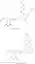 Fig. 26 - Hydrophilically modified fluorinated membrane (I)