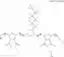 Fig. 29 - Hydrophilically modified fluorinated membrane (I)
