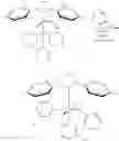Fig. 32 - Hydrophilically modified fluorinated membrane (I)