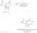 Fig. 36 - Hydrophilically modified fluorinated membrane (I)