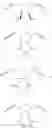 Fig. 41 - Hydrophilically modified fluorinated membrane (I)