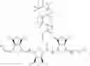 Fig. 42 - Hydrophilically modified fluorinated membrane (I)
