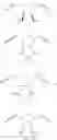 Fig. 43 - Hydrophilically modified fluorinated membrane (I)