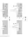 Fig. 09 - Emulsions by condensation
