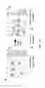 Fig. 17 - Emulsions by condensation