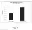 Fig. 10 - Biochar aggregate particles