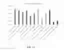 Fig. 33 - Biochar aggregate particles